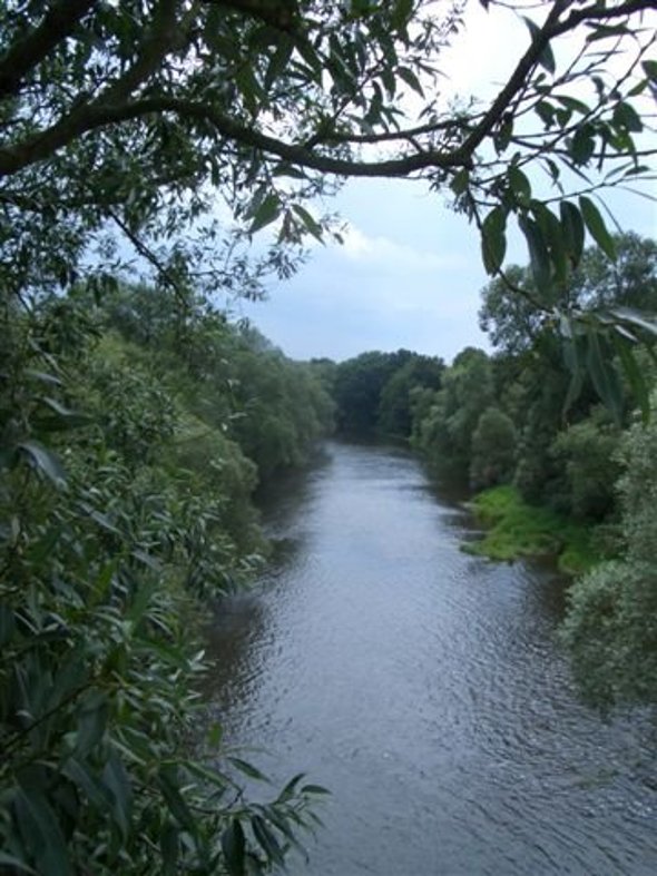 Bild der Lahn.jpg